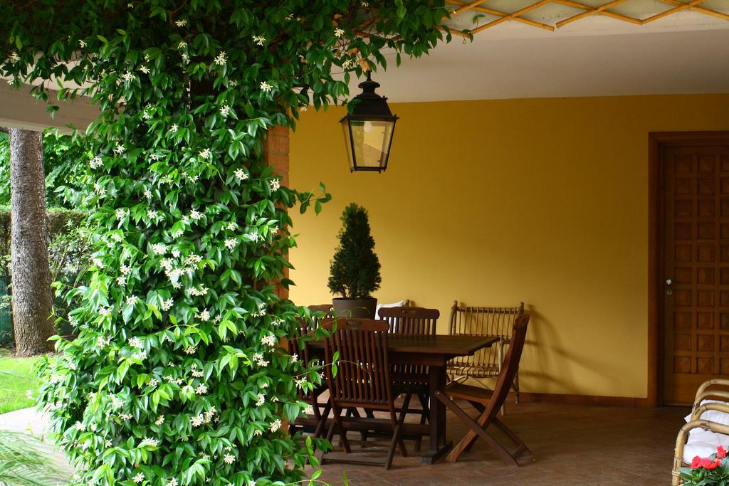 B&B Igea 50 Модена Экстерьер фото